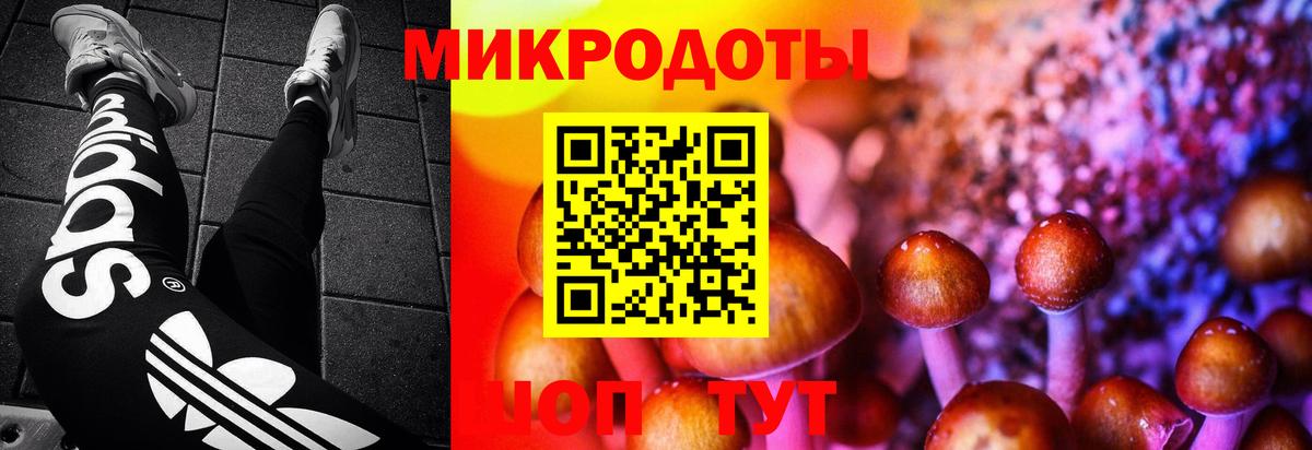 Псилоцибиновые грибы мухоморы  Вход с VPN  Кандалакша 